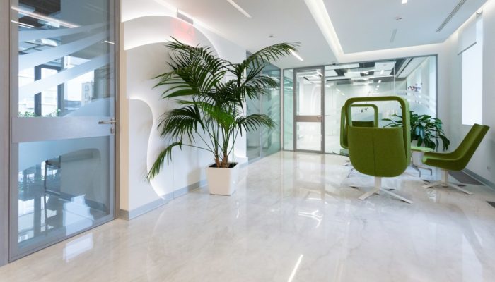 green potted plant on white ceramic floor tiles